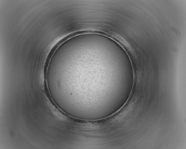 X0000113900980200910081826