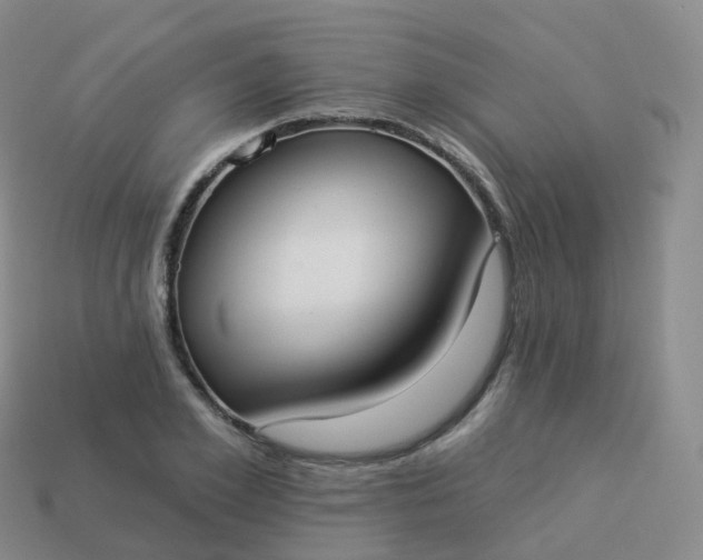 X0000113900981200910081826