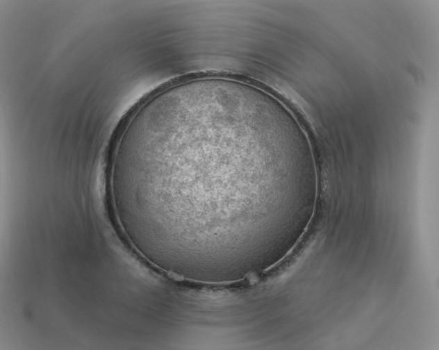 X0000113900983200910081826