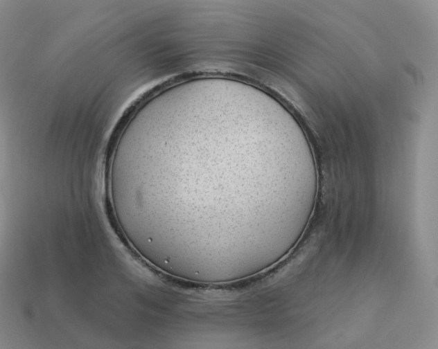 X0000113900984200910081826