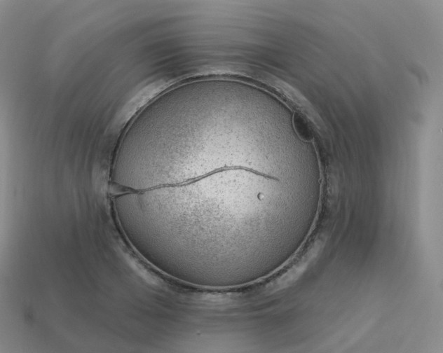 X0000113900985200910081826