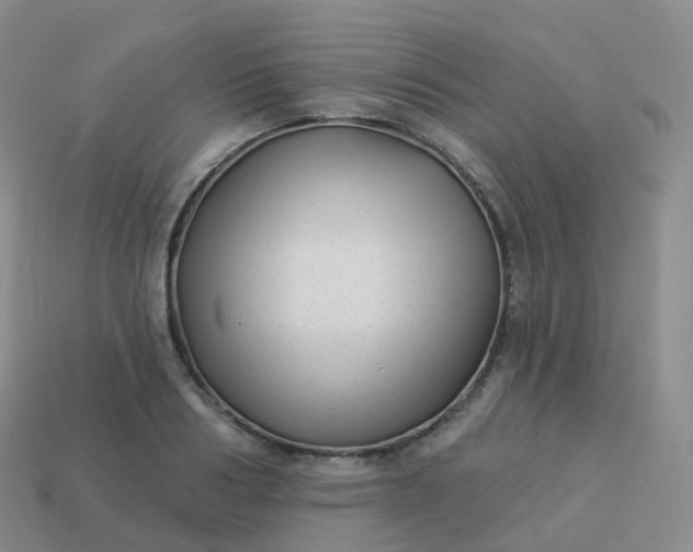 X0000113900986200910081826