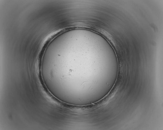 X0000113900987200910081825