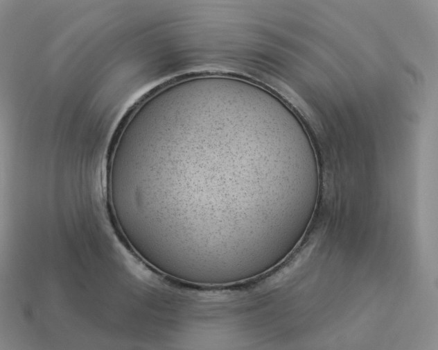 X0000113900988200910081825