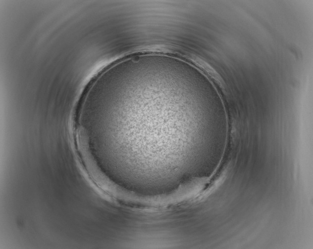 X0000113900989200910081825