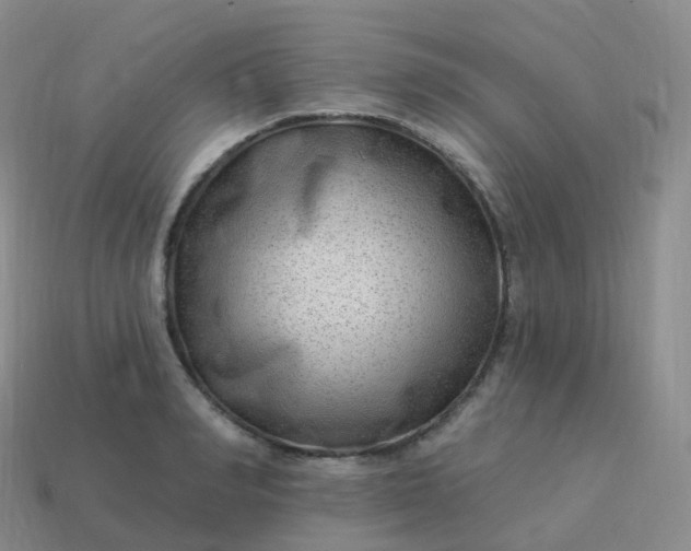 X0000113900990200910081825