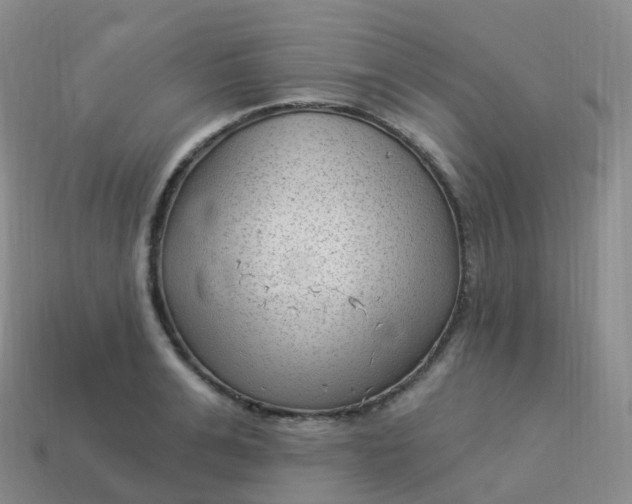 X0000113900991200910081825