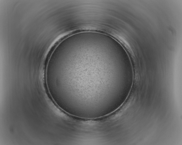 X0000113900992200910081825