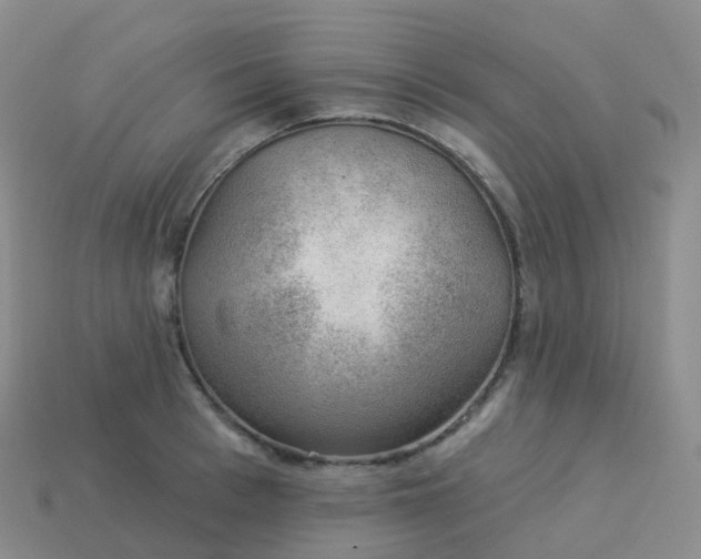 X0000113900993200910081825