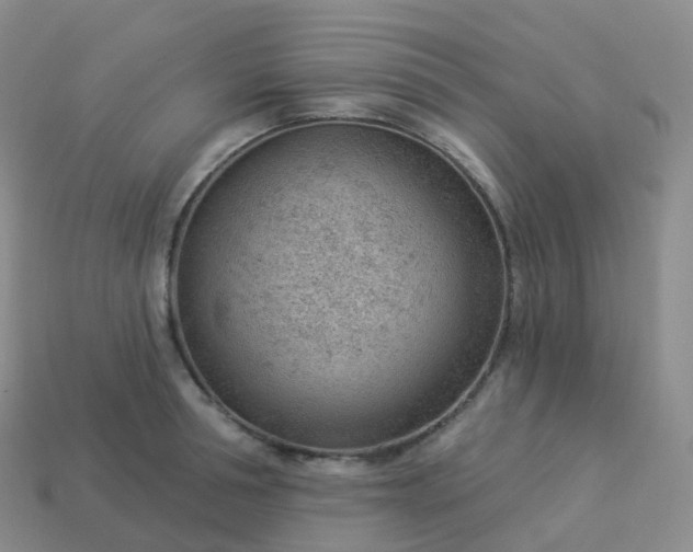 X0000113900994200910081825