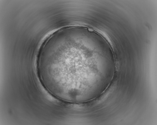 X0000113900995200910081825