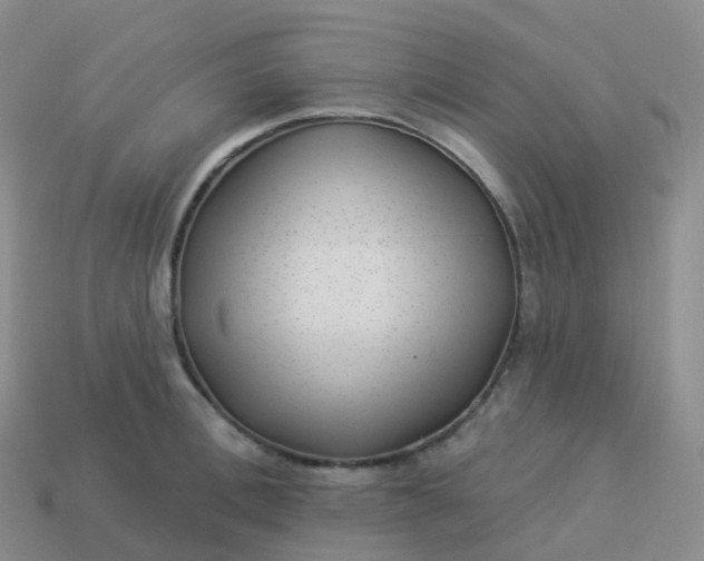 X0000113900996200910081825