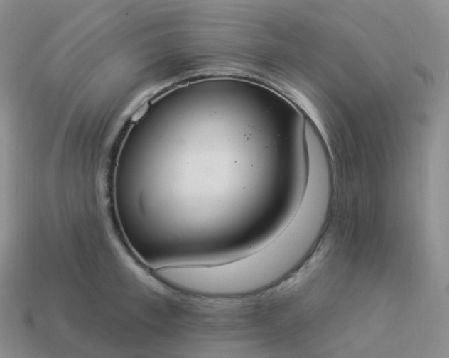 X0000113900997200910081825