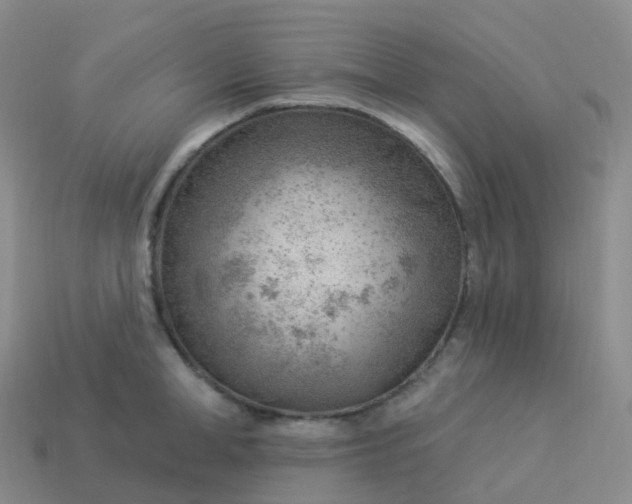 X0000113900998200910081825