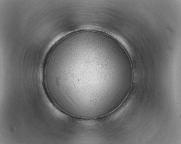 X0000113900999200910081825