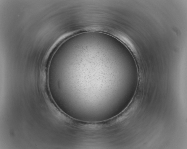 X0000113901000200910081825