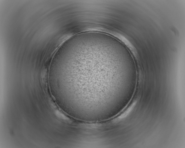 X0000113901001200910081825