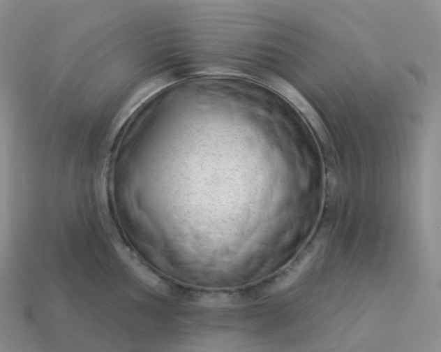 X0000113901002200910081825