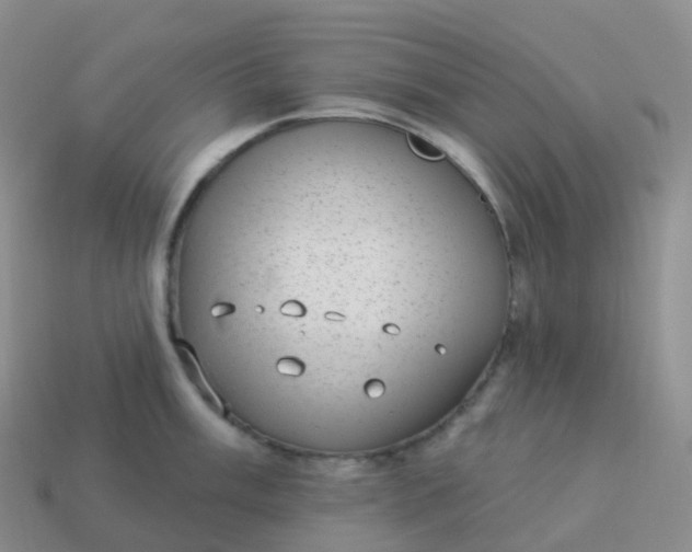 X0000113901003200910081825