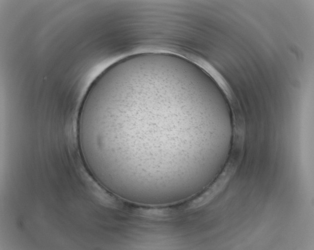 X0000113901004200910081825