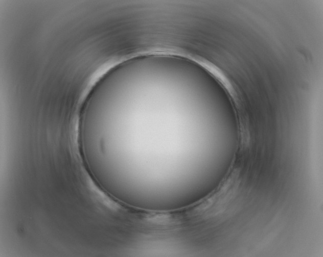 X0000113901006200910081825