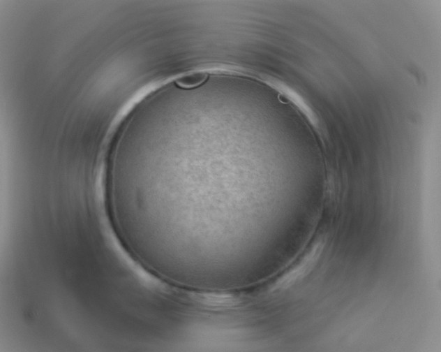 X0000113901007200910081825