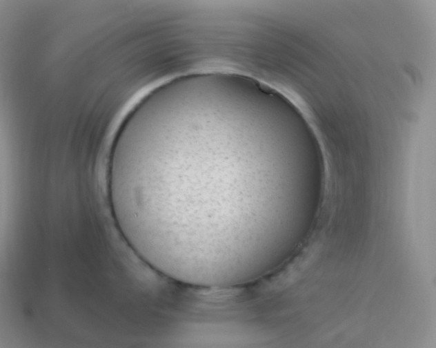 X0000113901008200910081825