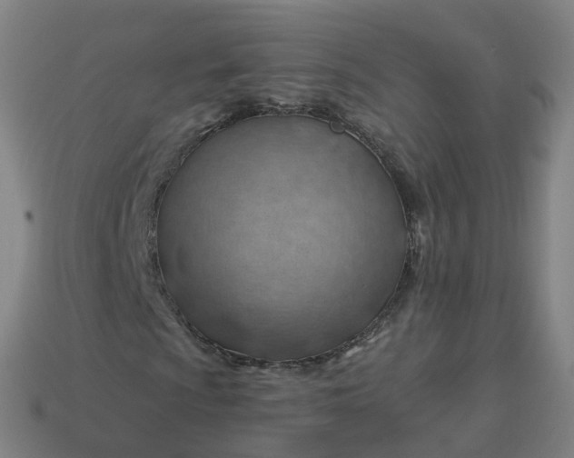 X0000113901009200910081825