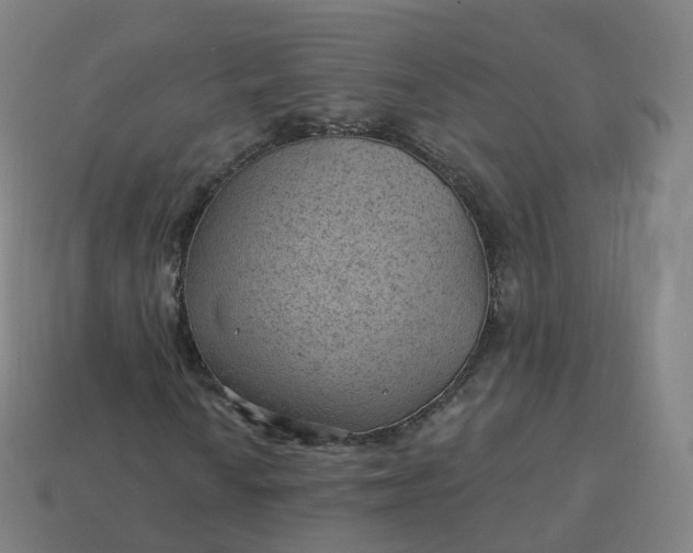 X0000113901010200910081825