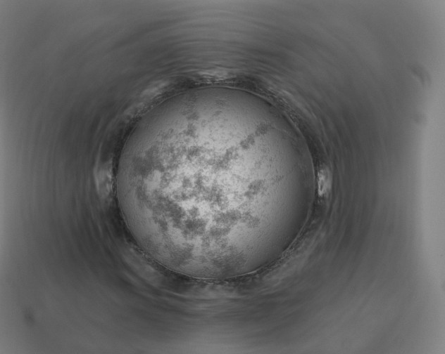 X0000113901011200910081825