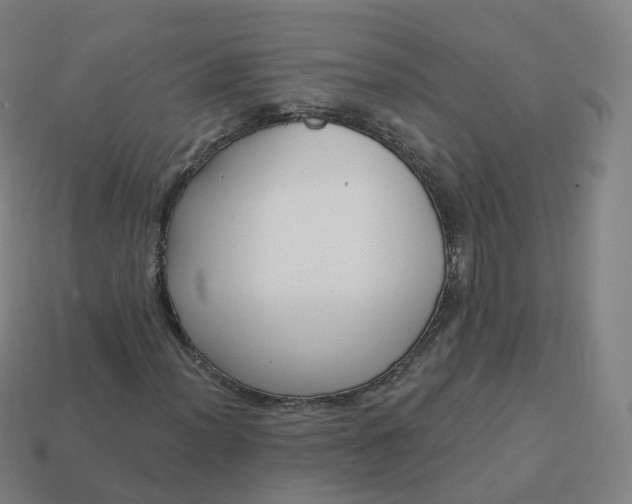 X0000113901012200910081825