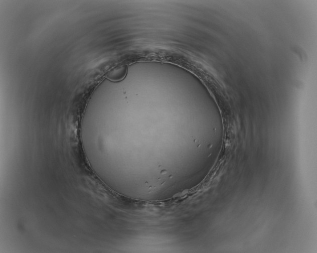 X0000113901013200910081825