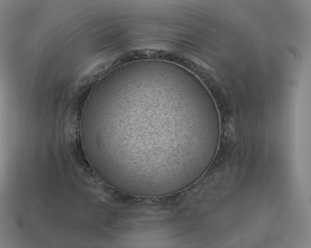 X0000113901014200910081825