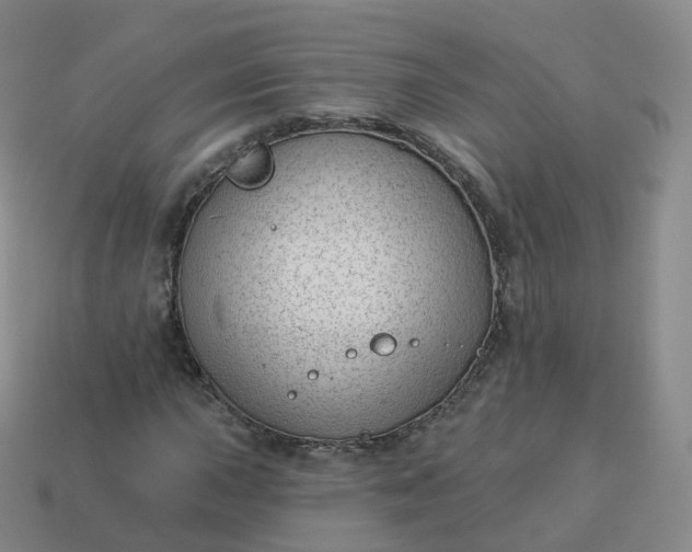 X0000113901015200910081825