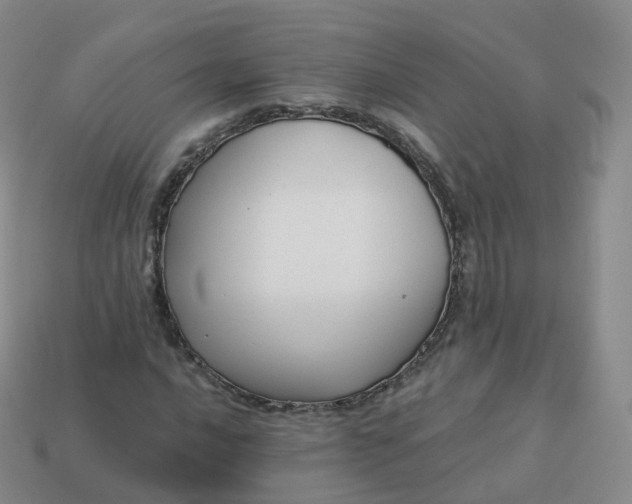 X0000113901016200910081825