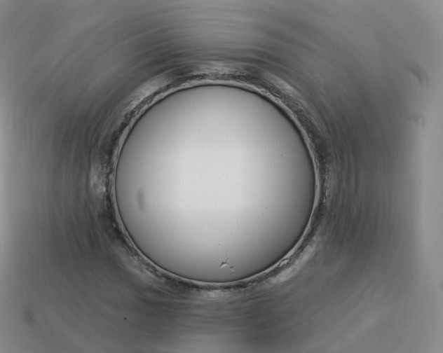 X0000113901017200910081825