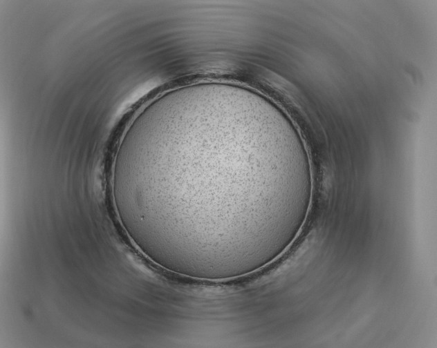 X0000113901018200910081825