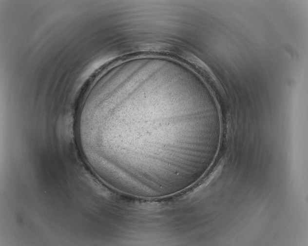 X0000113901019200910081825