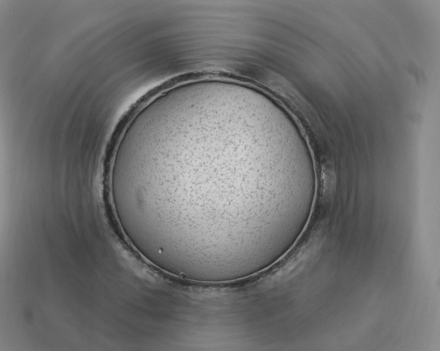 X0000113901020200910081825