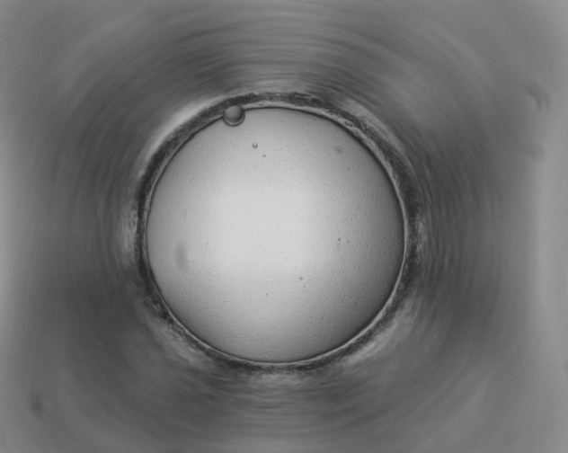 X0000113901021200910081825