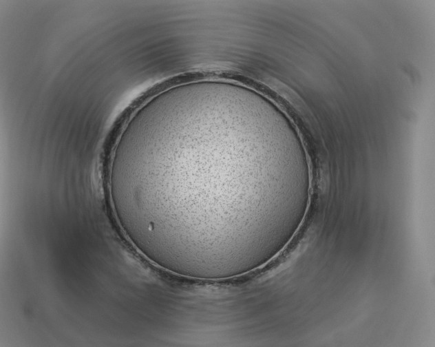 X0000113901022200910081825