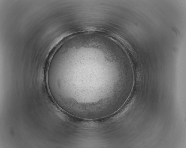 X0000113901023200910081825