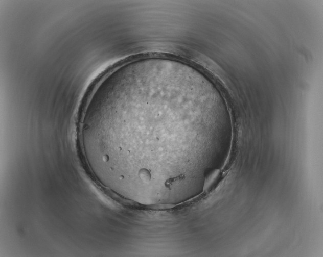 X0000113901024200910081825