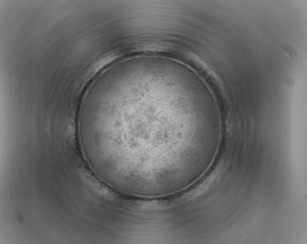 X0000113901025200910081825