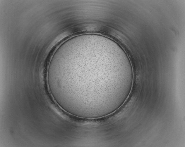 X0000113901026200910081825