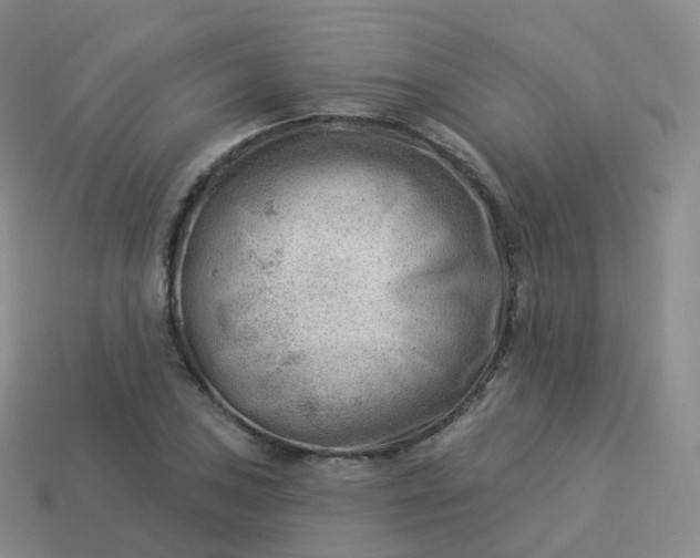 X0000113901027200910081825