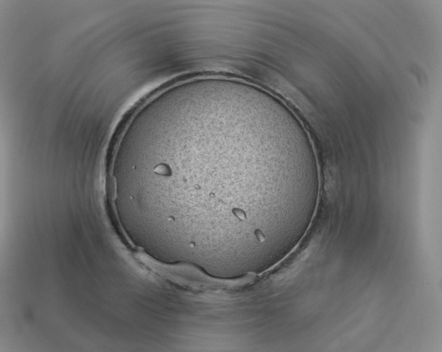 X0000113901028200910081825