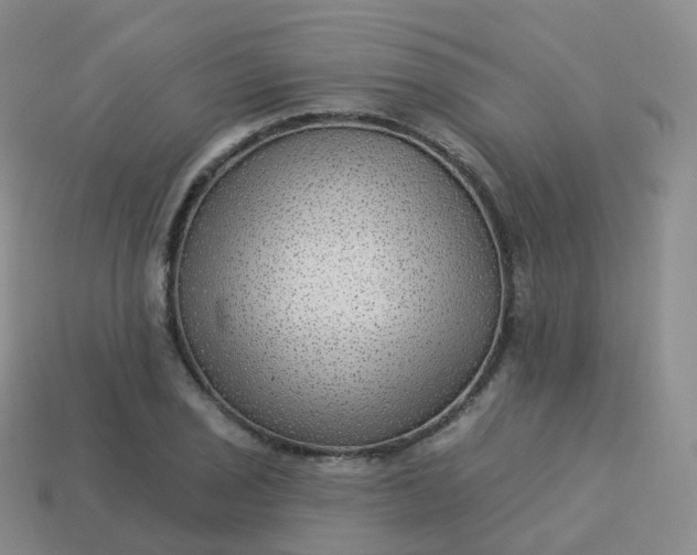 X0000113901029200910081825