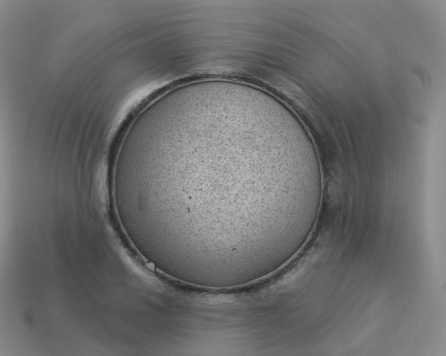 X0000113901030200910081825