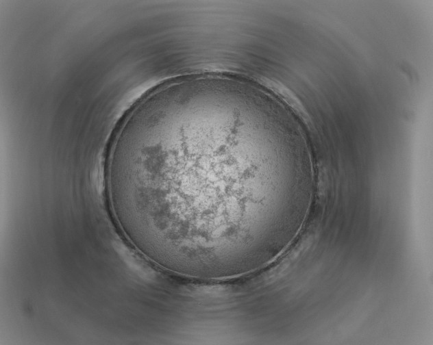 X0000113901031200910081825